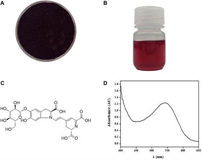 Co-production of pigment and high value-added bacterial nanocellulose from Suaeda salsa biomass with improved efficiency of enzymatic saccharification and fermentation